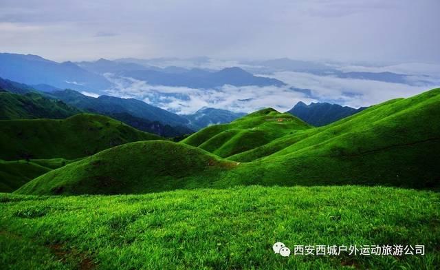 夏新和智声哪个破壁机好游戏画面